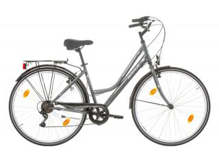 Excel Avenue Damesfiets 46 cm 6 Speed grijs