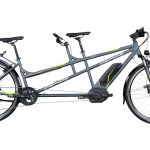 Gepida tandem Thoris 53 cm - 44 cm  XT 10 grijs antra