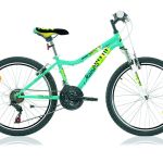 Marlin Maestro 34 cm groen 18 sp