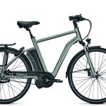 Raleigh Boston Premium HN8 HydroB Snaar (17