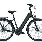 Raleigh Bristol 8 D 43 cm  Phantom grey mat