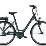 Raleigh Cardiff 8  D 45 cm Nexus 8 hydro brake Zeeblauw matt