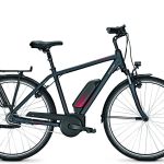 Raleigh Cardiff 8  H 55 cm Nexus 8 hydro brake Zeeblauw matt