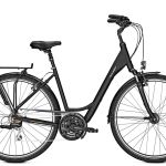 Raleigh Chester D 45 cm magic black 21 sp