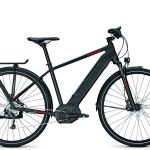 Raleigh Kent 9 H 48 Alivio 9 sp magic black