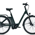 Raleigh New Gate Premium D46cm N8 HydroDB (17Ah)