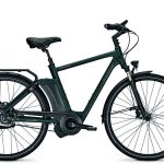 Raleigh New Gate Premium H50cm N8 HydroDB (17Ah)