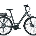 Raleigh Stoker D Wave 45 cm 9 sp Diamond black mat