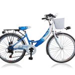 Wings Diva D 32 cm 6 sp blauw wit