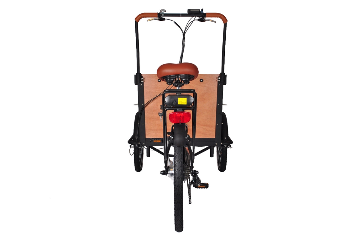 altec castor electrische bakfiets driewieler 375wh rijklaar geleverd nieuw vbrakes 2