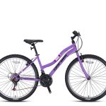 Swan  ATB  D 34 cm V brake  purper  21 sp