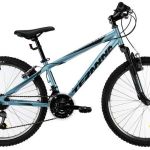 Devron Teranna  H 38 cm 18 sp mat blauw