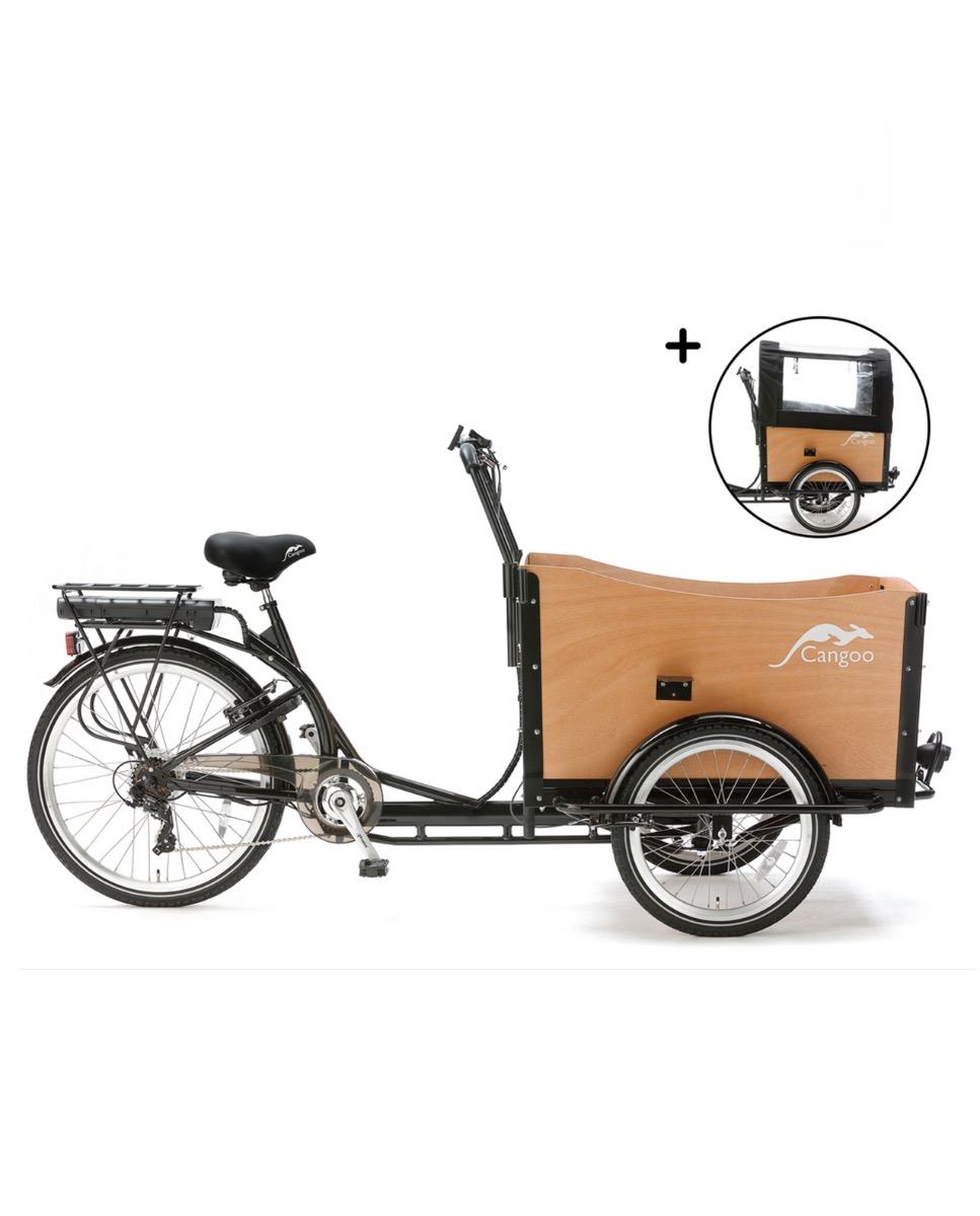 Cangoo Travel Elektrisch