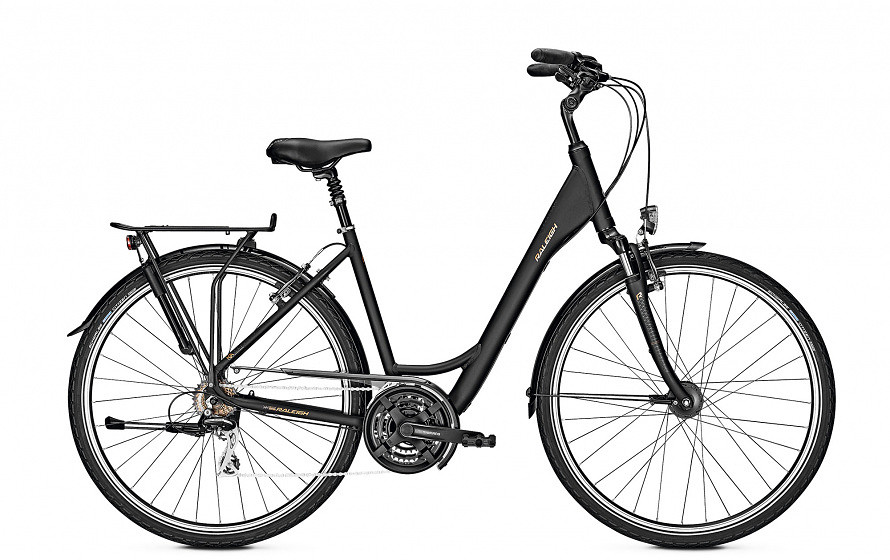 Raleigh Sportieve fiets Chester dames 55cm mat zwart Zwart