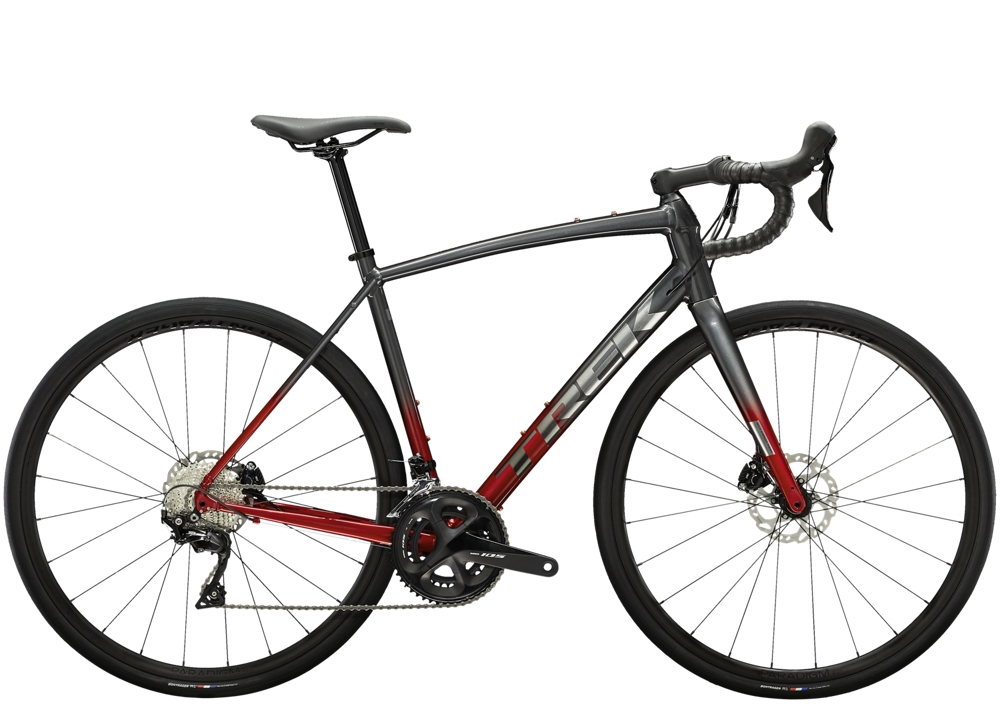 Trek Domane AL 5 56 Lithium Grey to Crimson Fade
