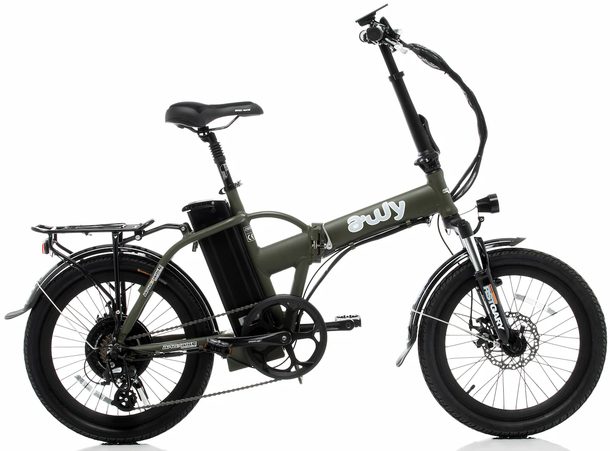 Elektrische Vouwfiets 20 Inch AWY 250W Groen