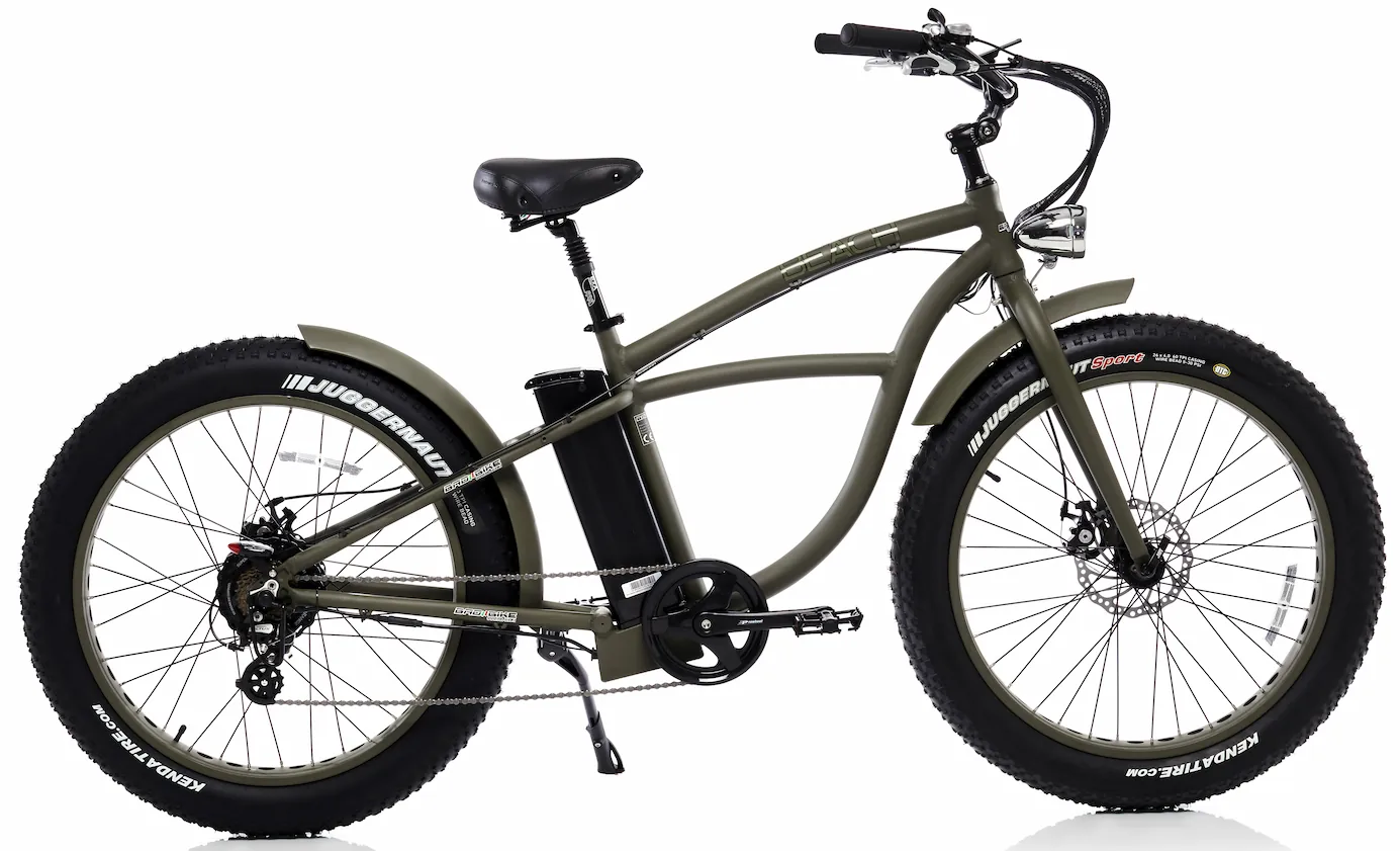 Elektrische Fatbike Beach Cruiser 26 Inch Bad Bike 250W Groen