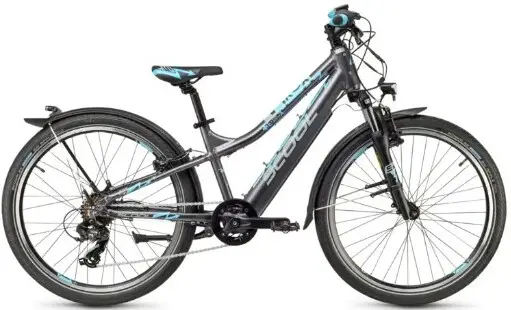 Lichtgewicht Elektrische Kinderfiets S'cool e-troX 26"7S Grijs