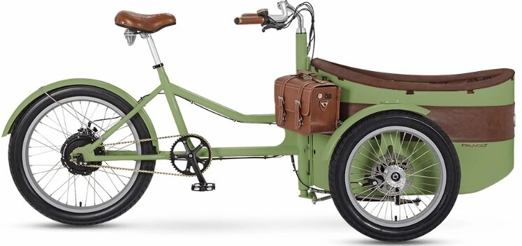 Elektrische Bakfiets 24 Inch Rayvolt Trixie groen opgewaardeerde accu