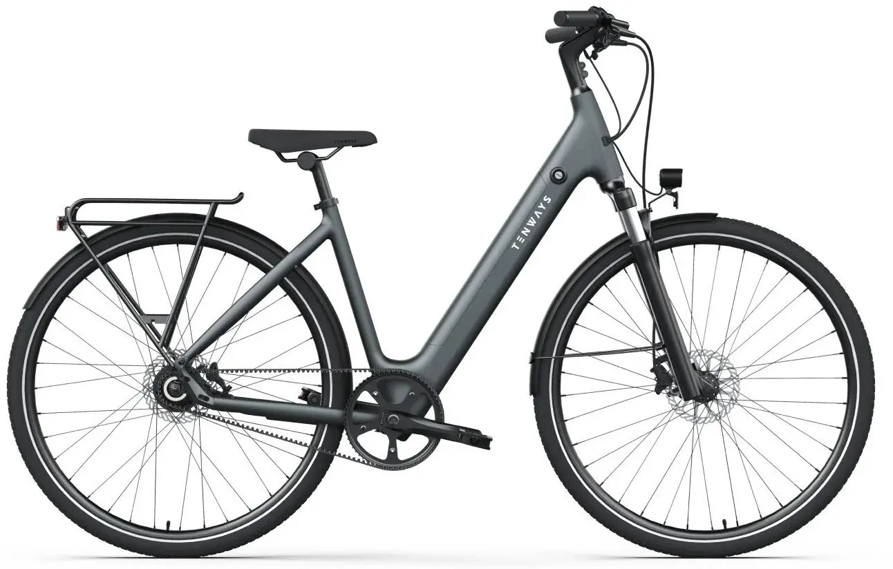Tenways CGO800S Sportieve Elektrische Damesfiets Riemaandrijving Grijs