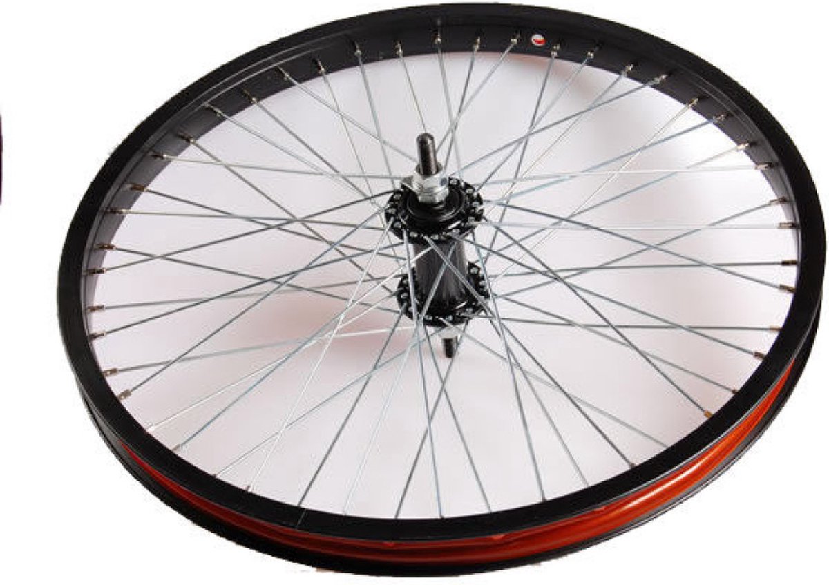Achterwiel 20 x 1.75 aluminium Freestyle 48 spaaks - zwart Fiets kopen online