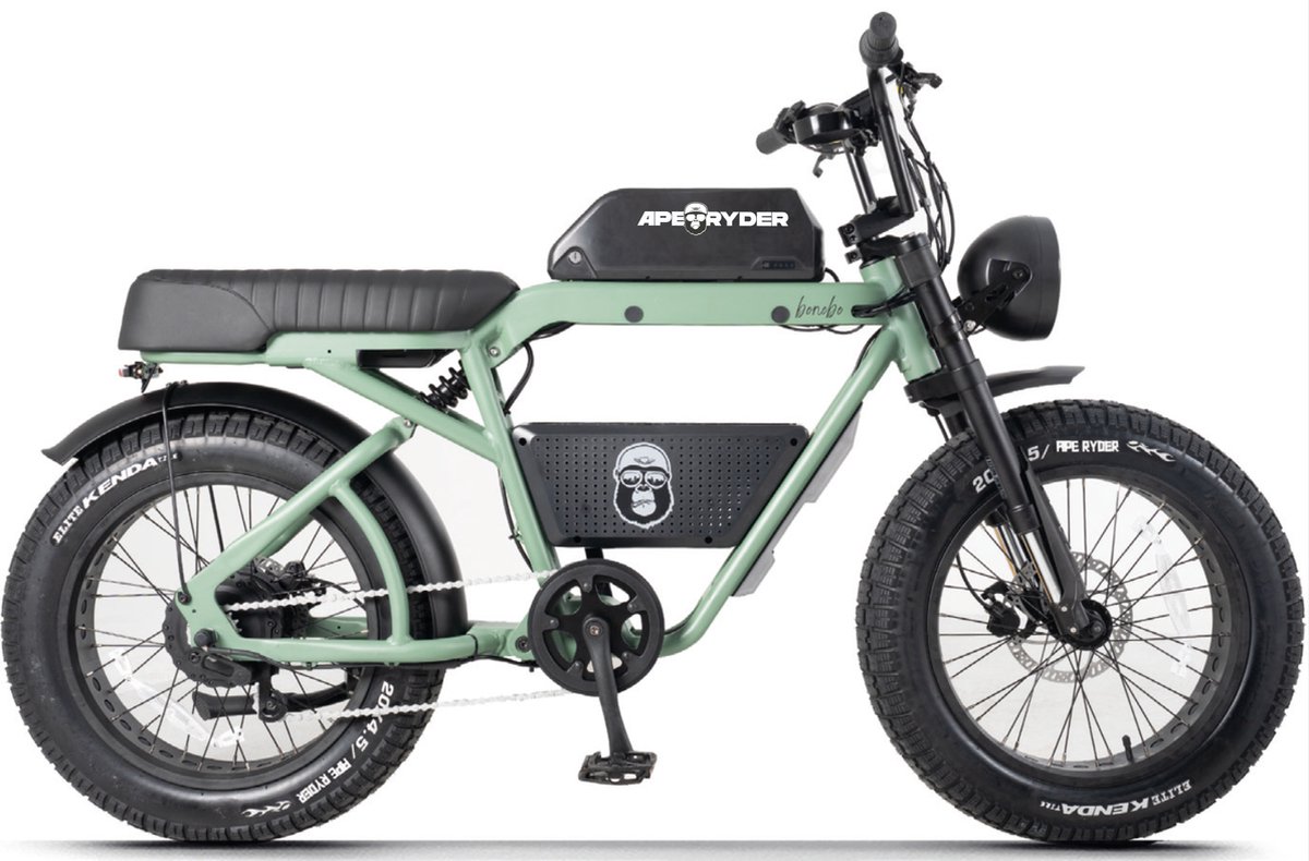 ape ryder bonobo elektrische fatbike 250w 48v 20ah 20inch groen
