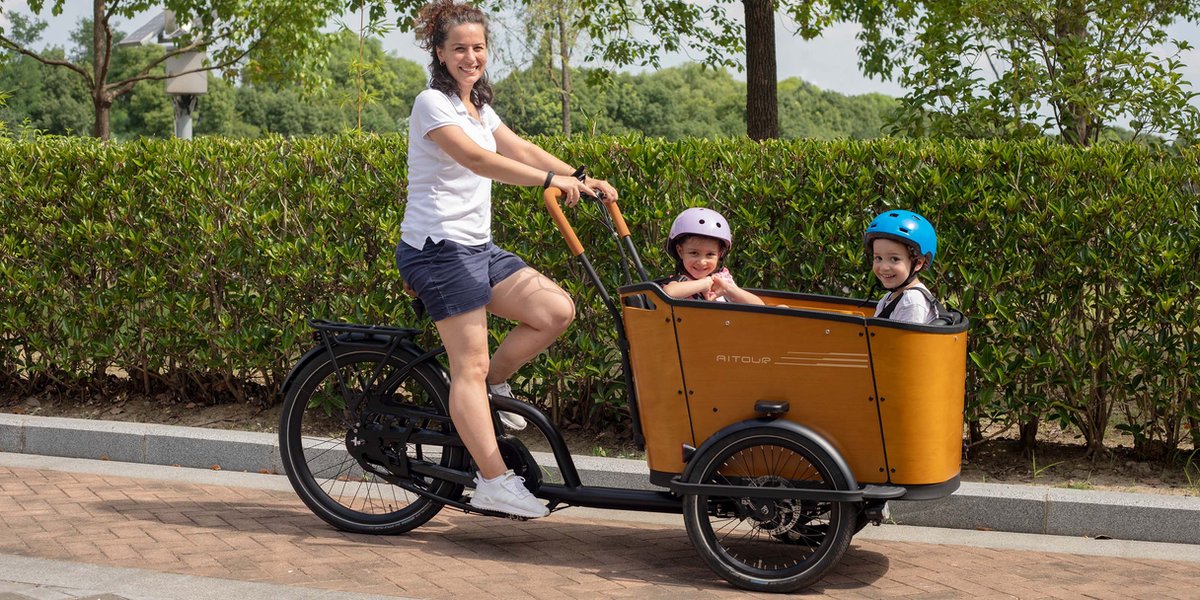 Bakfiets Aitour Family C Fiets kopen online
