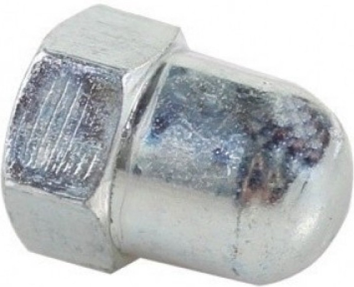 Bofix Dopmoer Vooras M9 X 1 Per 12 Stuks (220215) Bouten en moeren kopen online