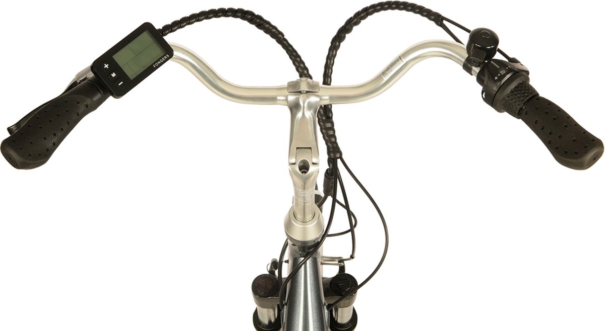 Fongers Basic N3 360 Wh Grijs/Blauw Fiets (elektrisch) kopen online