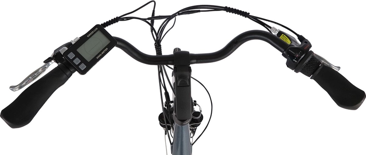 Fongers Basic Plus N3 594 Wh Grijs/Blauw Fiets (elektrisch) kopen online