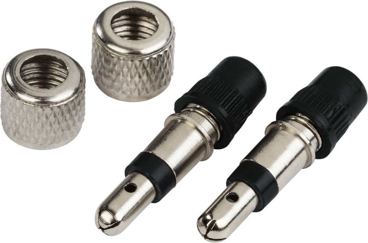 hama fietsventiel standaard 2 stuks