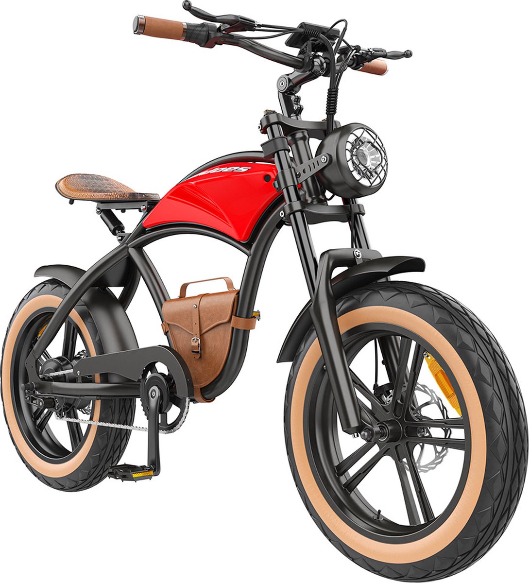 hidoes b10 elektrische fiets krachtige borstelloze motor 48v 13ah accu 20 x 4 dikke banden 60km actieradius dubbele mechanische schijfremmen