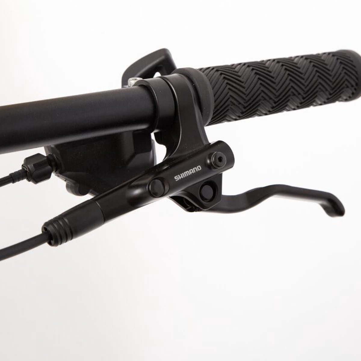 musculus tergum mountainbike