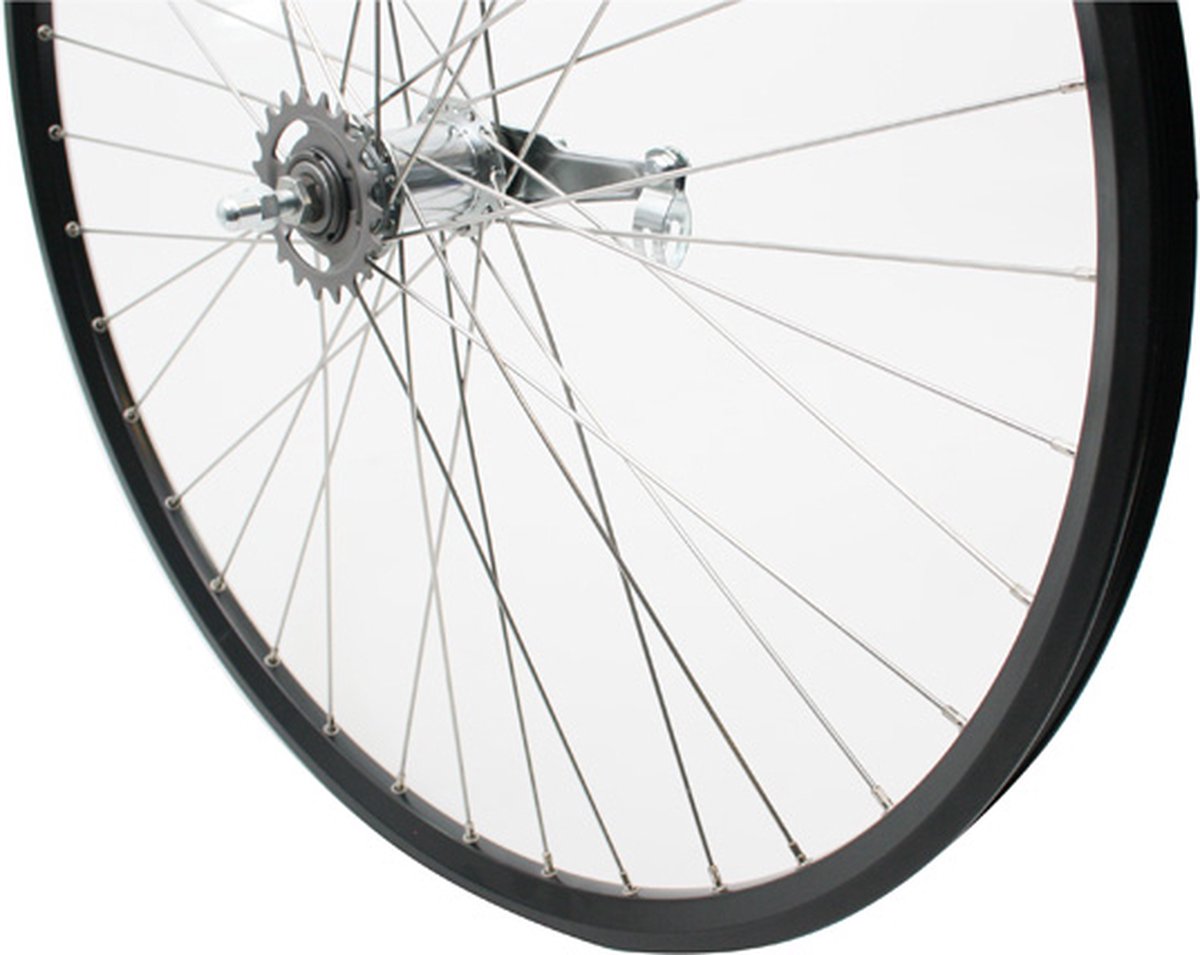 Roland achterwiel 28 Shimano RN ZAC2000 zwart RVS spk Fiets kopen online