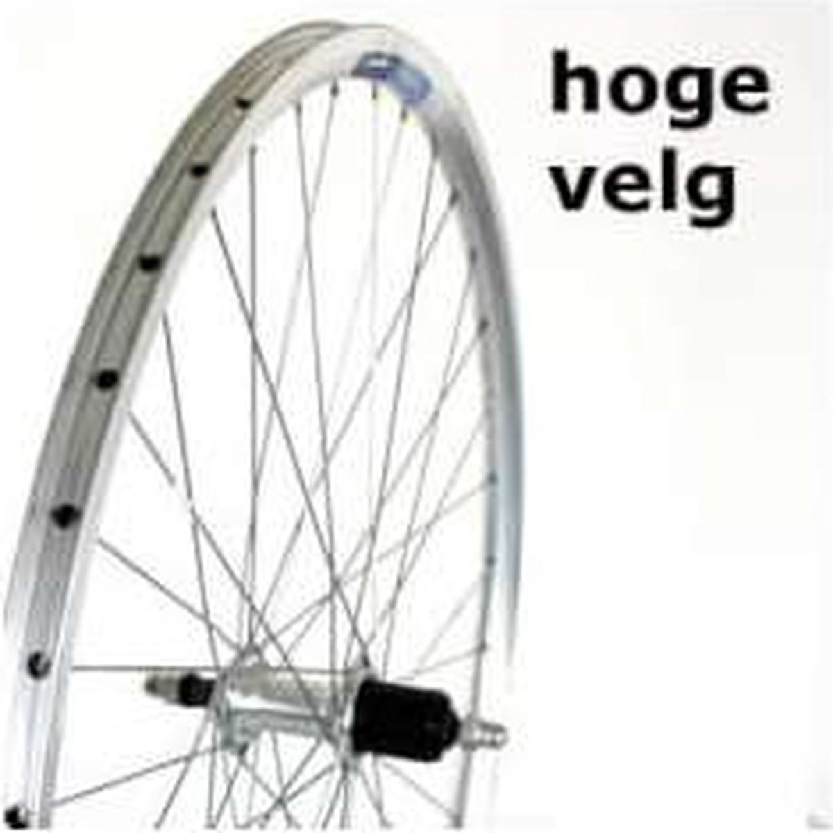 roland achterwiel 28 vast cass 8v alu v profil zilver