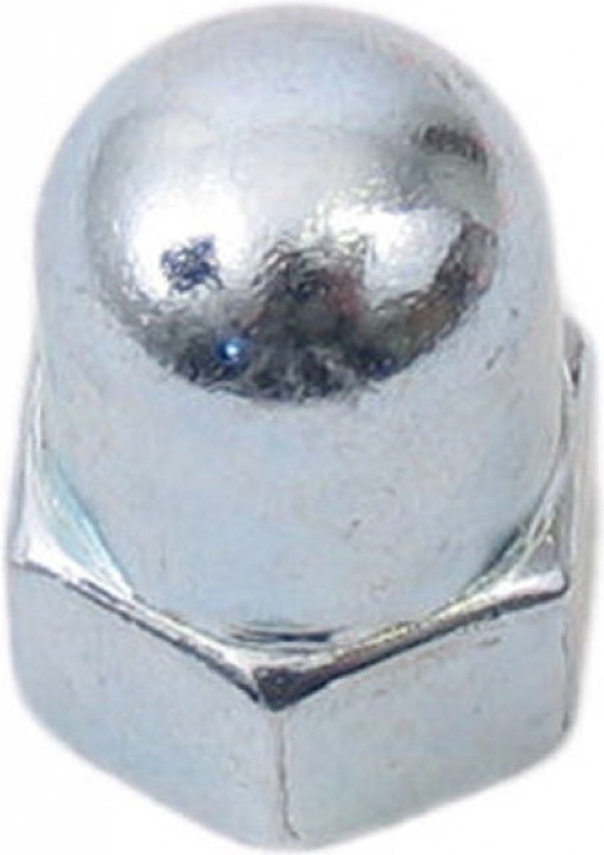 bofix dopmoer achteras torpedo sram 3v 12 stuks 220435