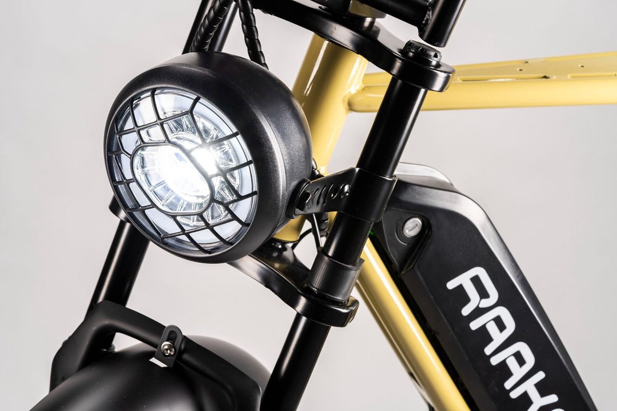 Raaks Drifter Fatbike Earth Fiets (elektrisch) kopen online