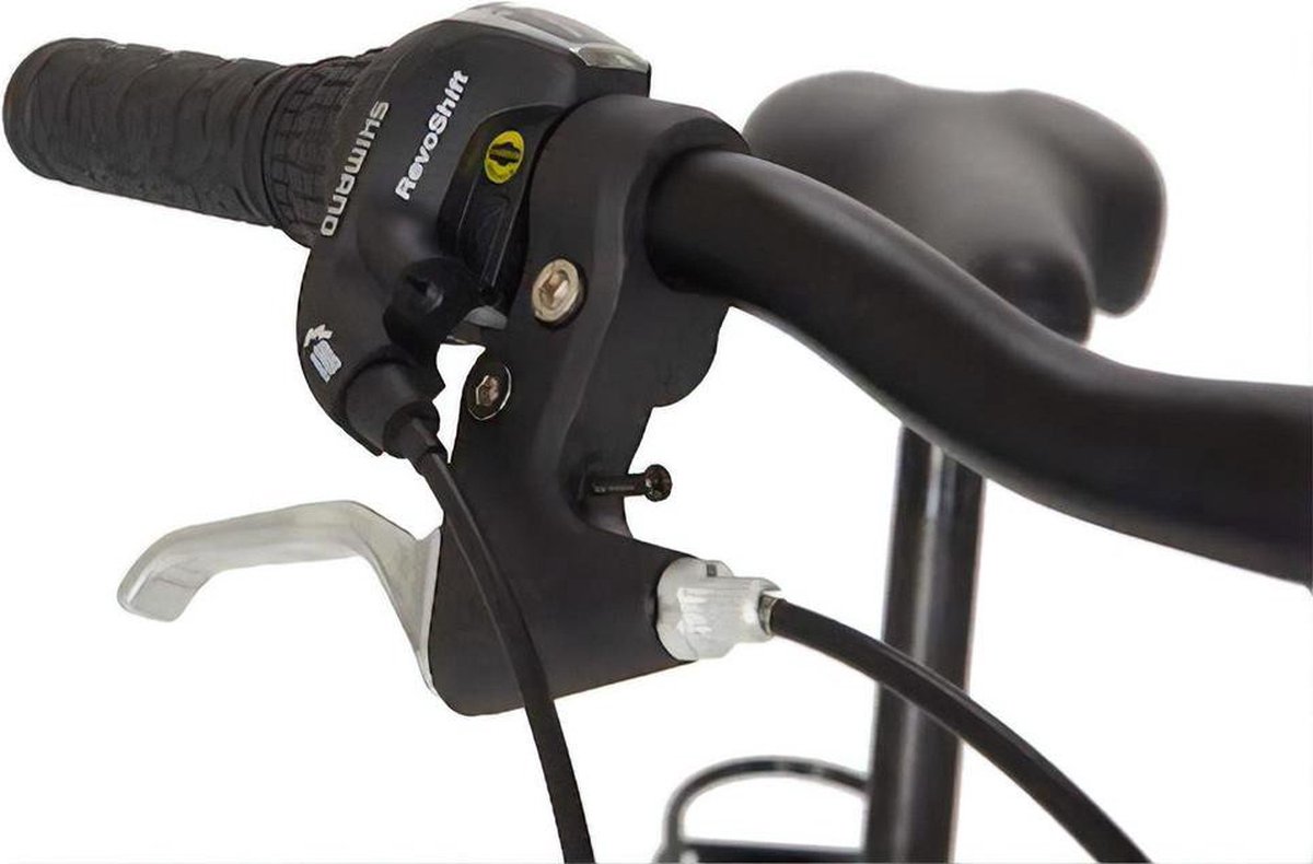 Wheelerz Vouwfiets - Fiets - 6 versnellingen - Antraciet  - 20 Inch Fiets kopen online