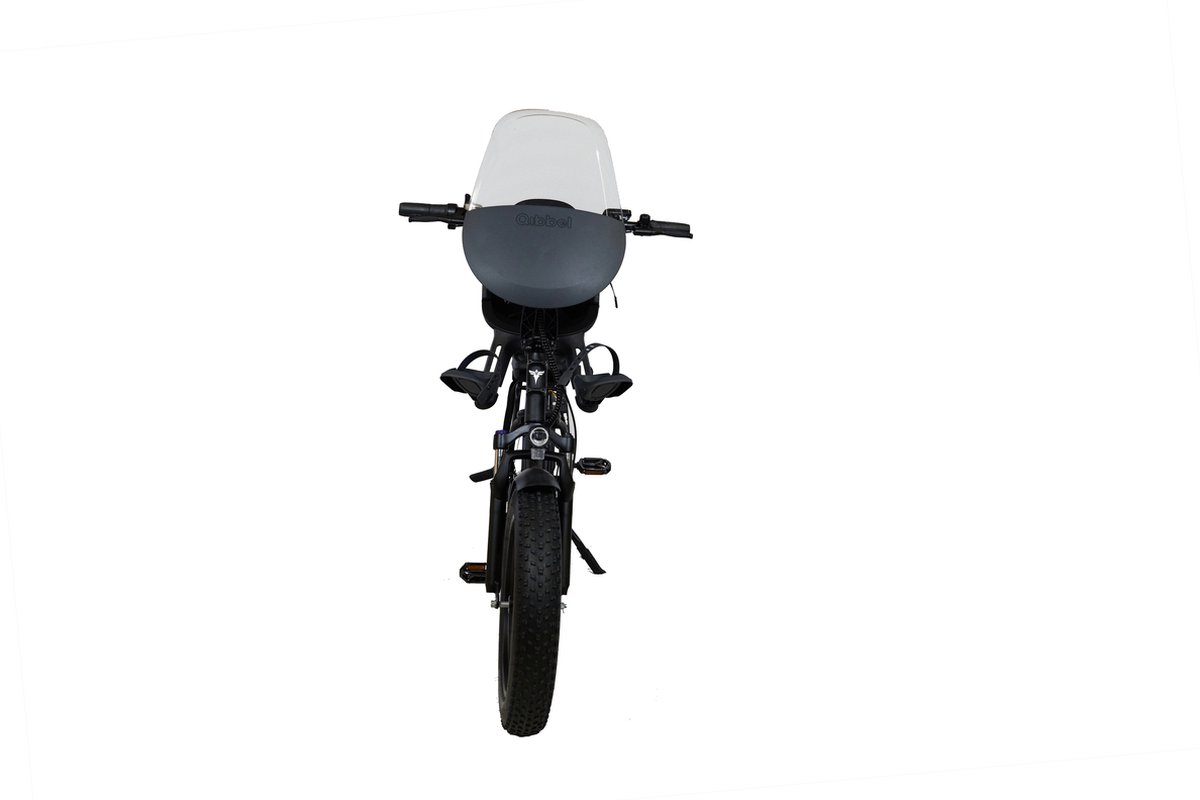 Engwe L20 Family fatbike - Onyx black Fiets (elektrisch) kopen online