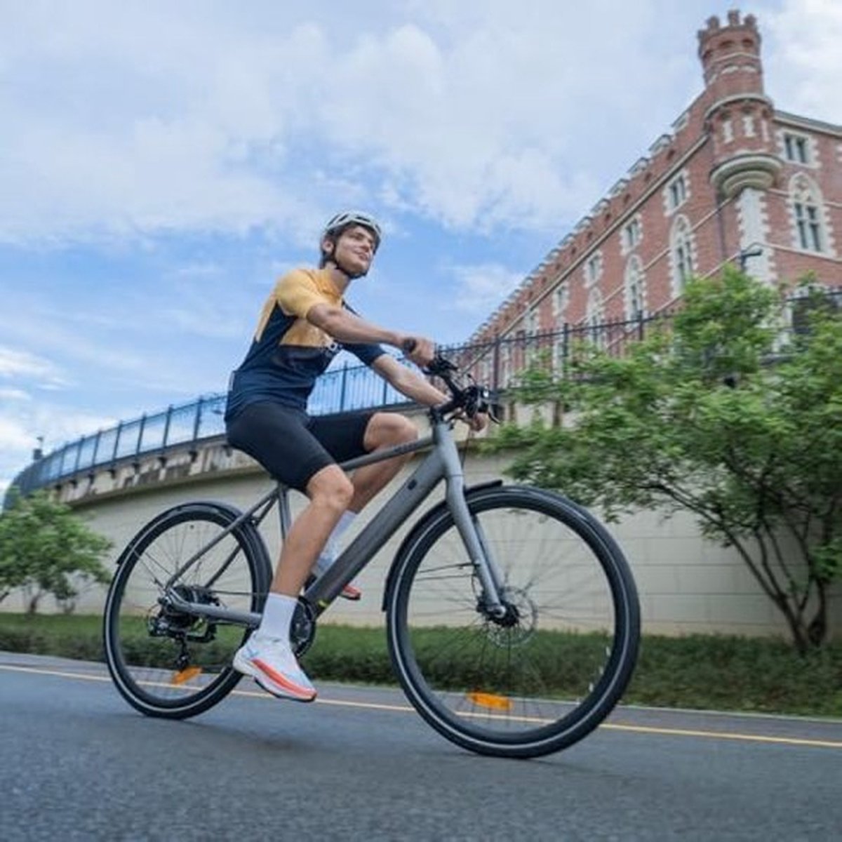 Elektrische Fiets met CST-Banden, Verwijderbare Batterij, 250w Motor, 25km/h Max Speed, Smart Display, 7-Versnellingen, Dubbele Hydraulische Schijfremmen Fiets kopen online
