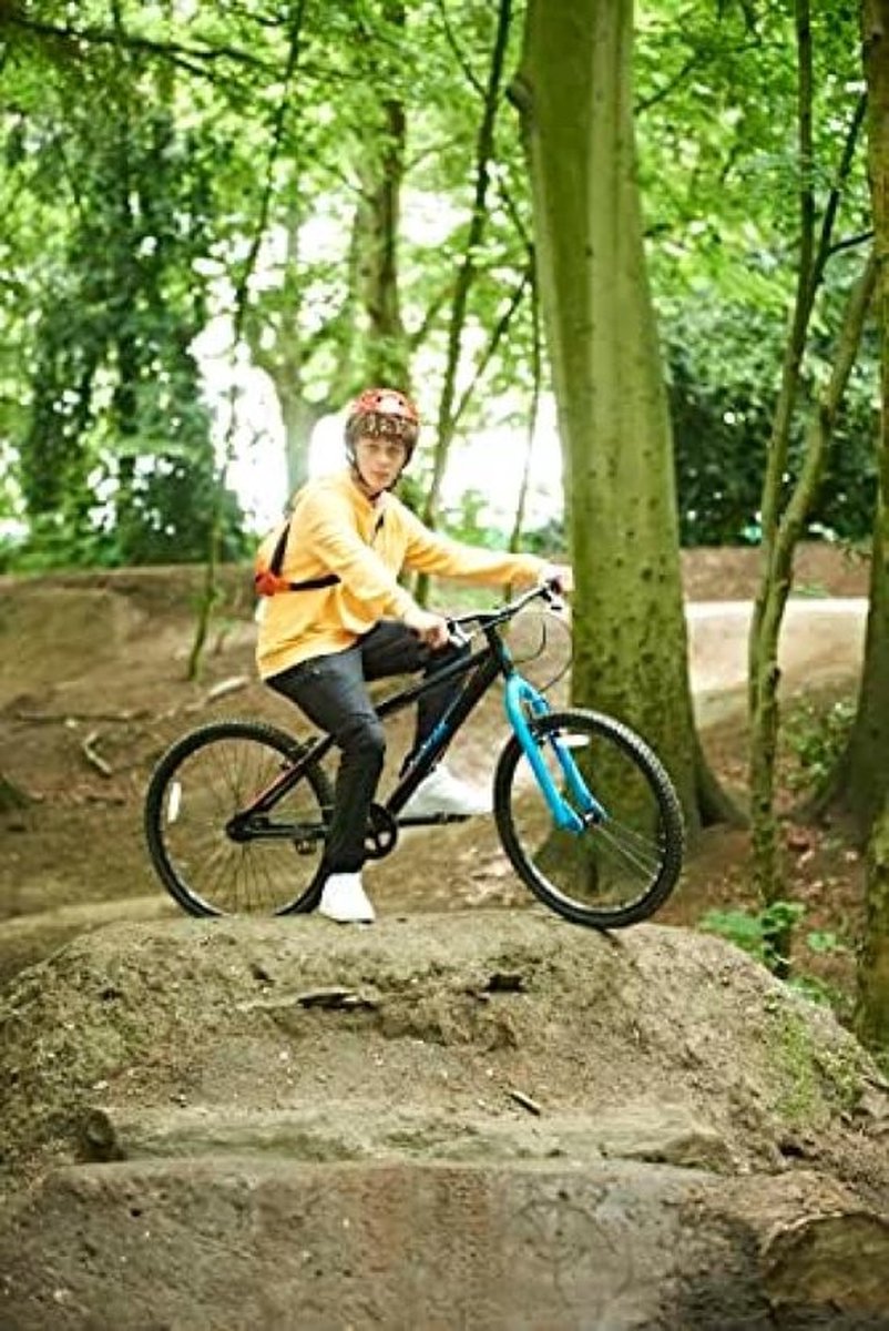 Stalen mountainbike voor volwassenen, 26 inch, 1 versnelling Fiets kopen online