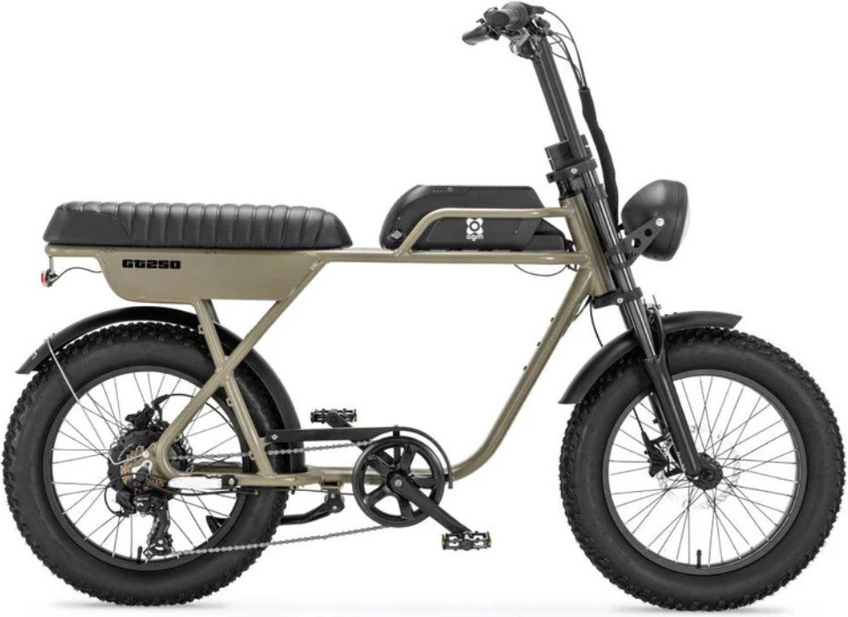 agm gt250 fatbike tweepersoonszadel telefoonoplader 20 inch 250w motor 7 versnellingen 80 km actieradius hydraulische schijfremmen groen