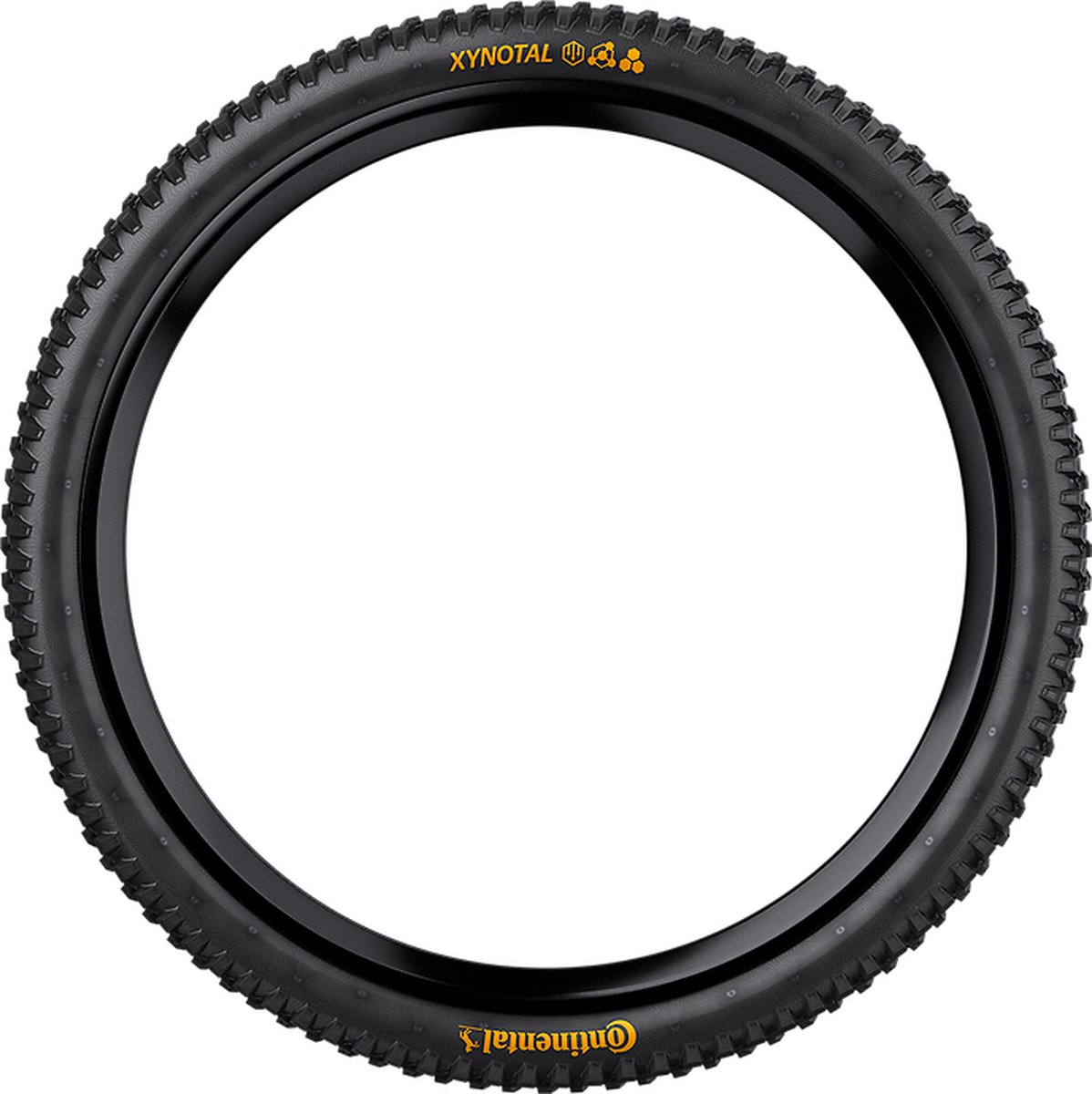 continental xynotal 29 mtb tubeless ready band