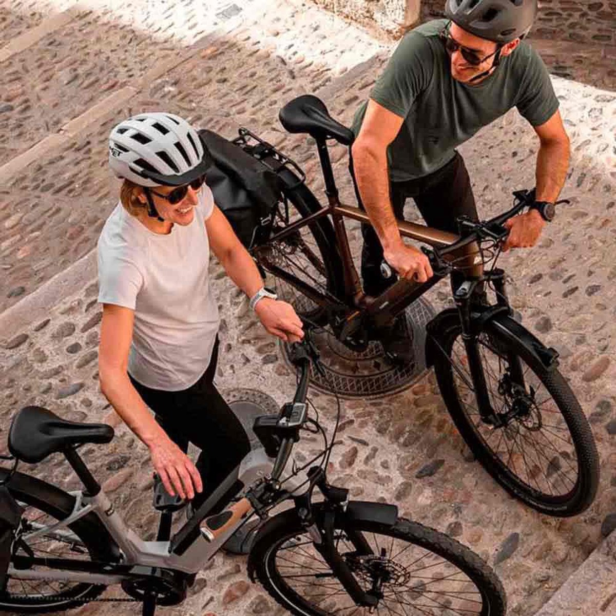 ergon gp1 evo rohloff nexus handvatten zilver 130 100 mm