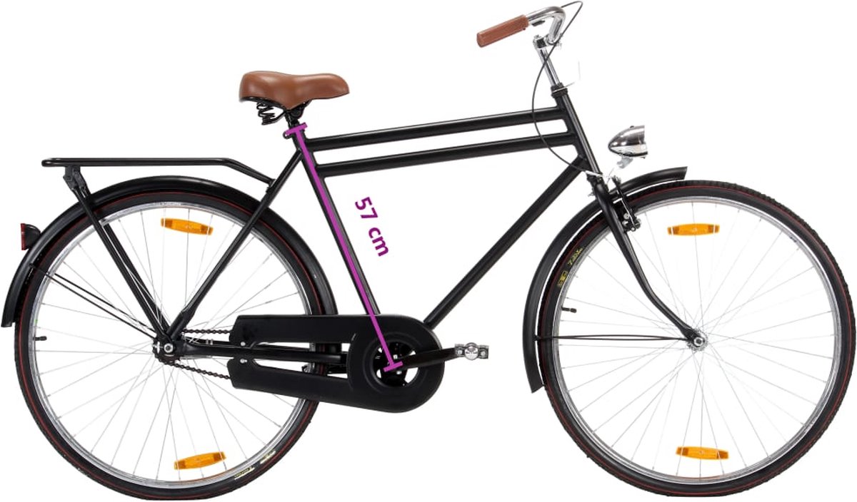 FIONERA Omafiets 28 inch 57 cm frame Fiets kopen online
