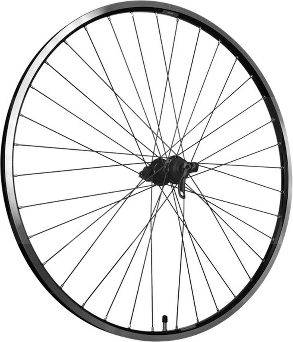 Roland Achterwiel 28 ZAC19 FHQC400 zwarte spaken Fiets kopen online