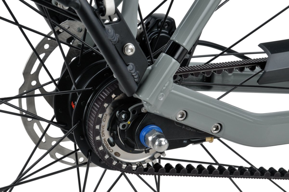 batavus dinsdag e go classic exclusive dame 53