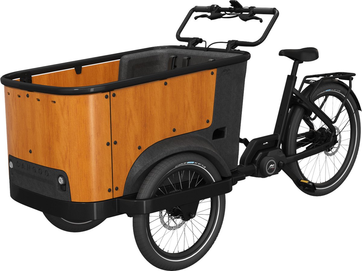 cangoo buckle up fiets elektrisch