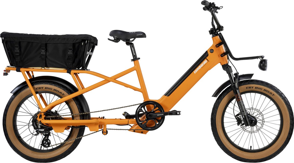 MONDELLO 20 INCH H40 LONGTAIL E-BIKE 10 SPEED ORANGE Fiets (elektrisch) kopen online