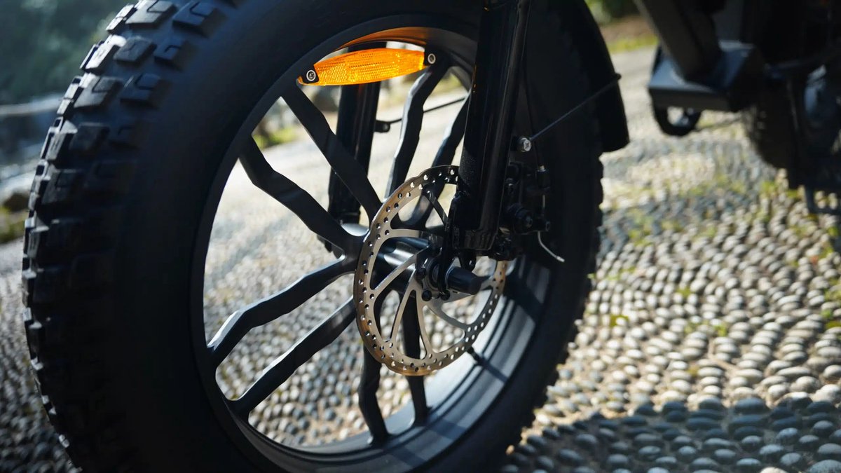 Ape Ryder Colobus Fatbike - Elektrische fiets 20 inch - All Terrain E-bike voor Heren/Dames - Fiets (elektrisch) kopen online